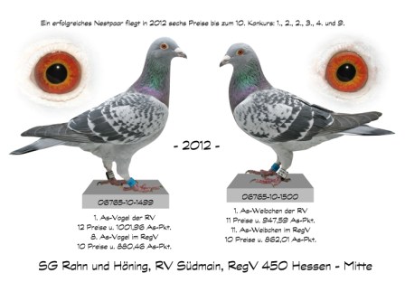 1. As Vogel und 1. As Weibchen der RV-Südmain 2012